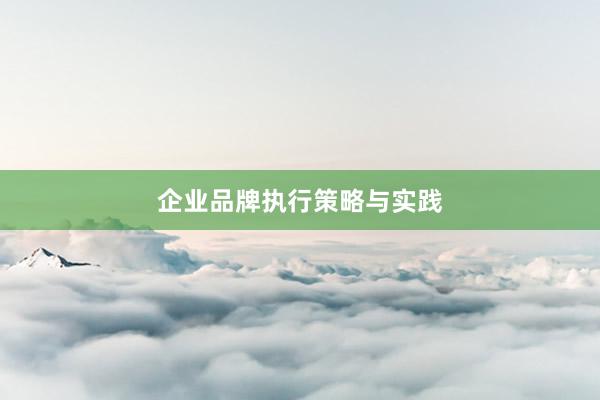企业品牌执行策略与实践